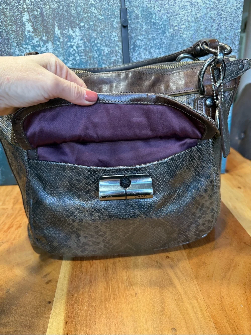 Coach Old Money 2011 Kristin Python Embossed Leather Tote Bronze